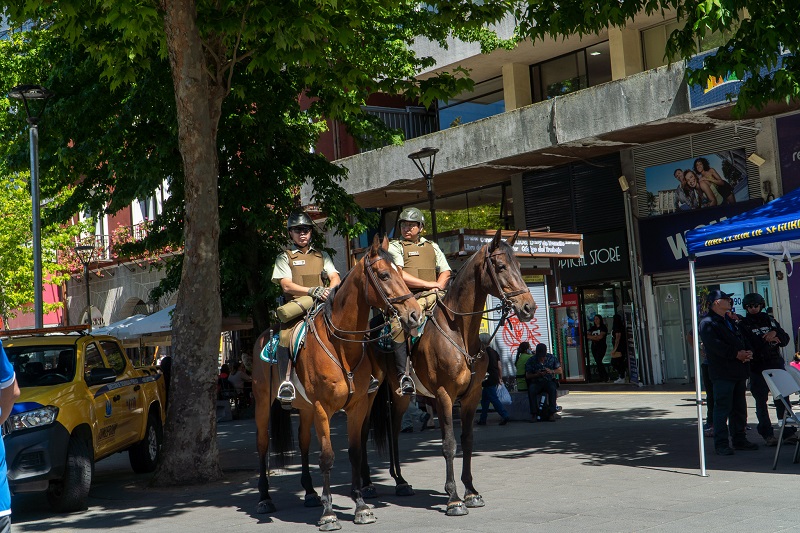 36 detenidos y tres mil fiscalizaciones deja como saldo plan “Navidad Segura” en Concepción