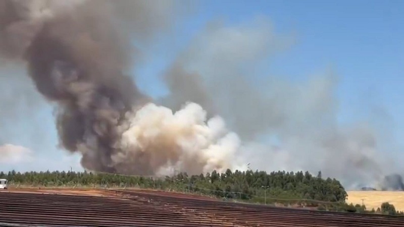 Incendio forestal de Mulchén fue originado por chispa de maquinaría agrícola