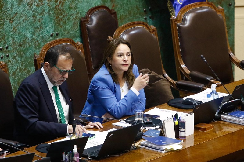 Joanna Pérez criticó a diputados oficialistas que se negaron a aprobar ley antiterrorista