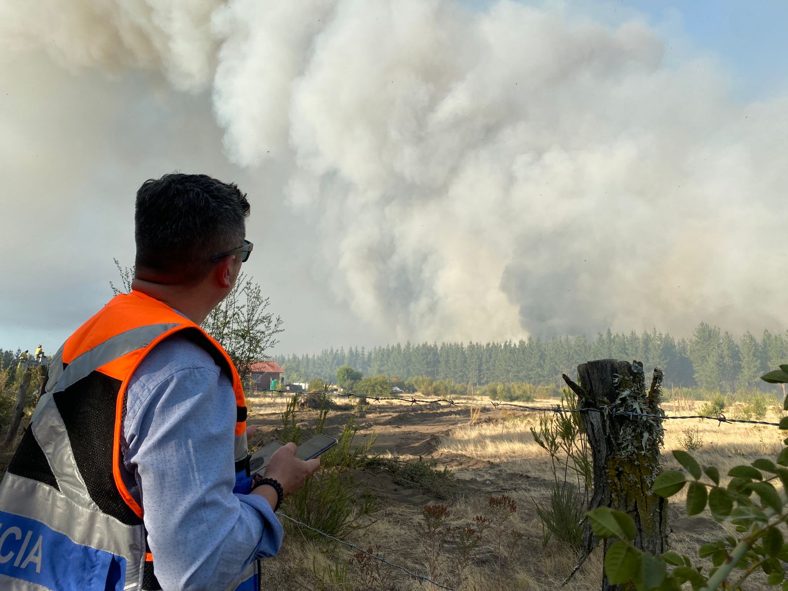 Dos viviendas fueron amenazadas por incendio forestal en Chacayal sur en Los Ángeles