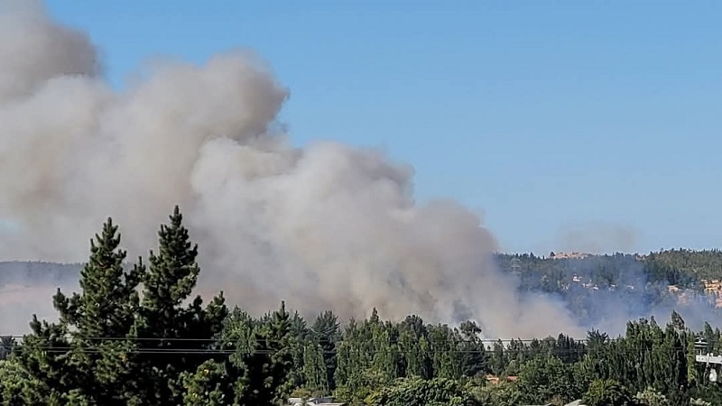 Incendios forestales en Biobío: Se reportaron 15 emergencias en sólo 24 horas este jueves