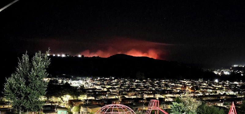 Incendio de Mulchén es el de mayor afectación este 2025 en Biobío: Consume 1.400 hectáreas