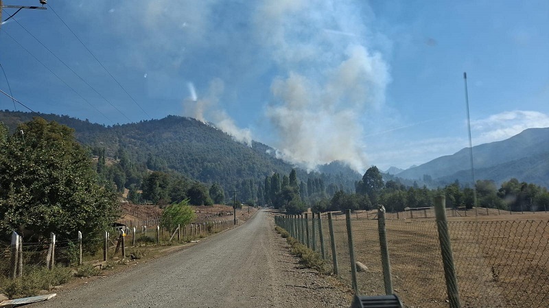 Alto Biobío: Siguen labores de combate de incendio forestal en Cauñicú