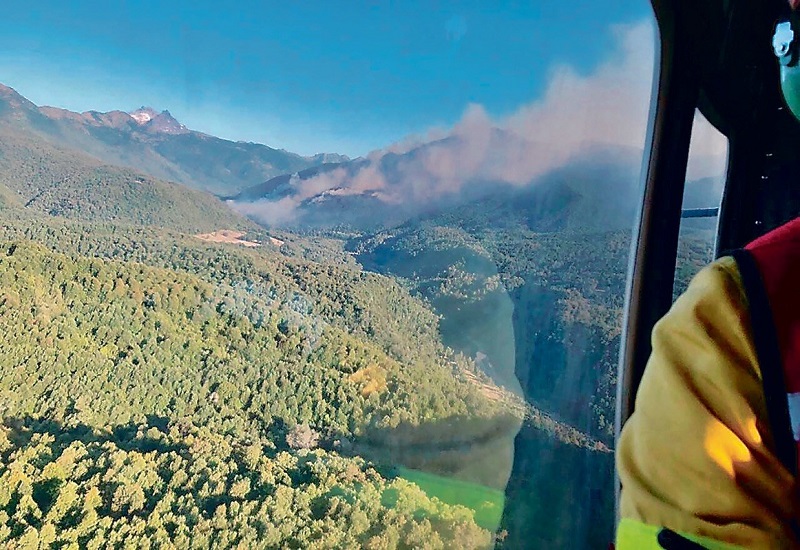 Alerta roja en Alto Biobío: Incendio forestal amenaza la Reserva Nacional Ralco