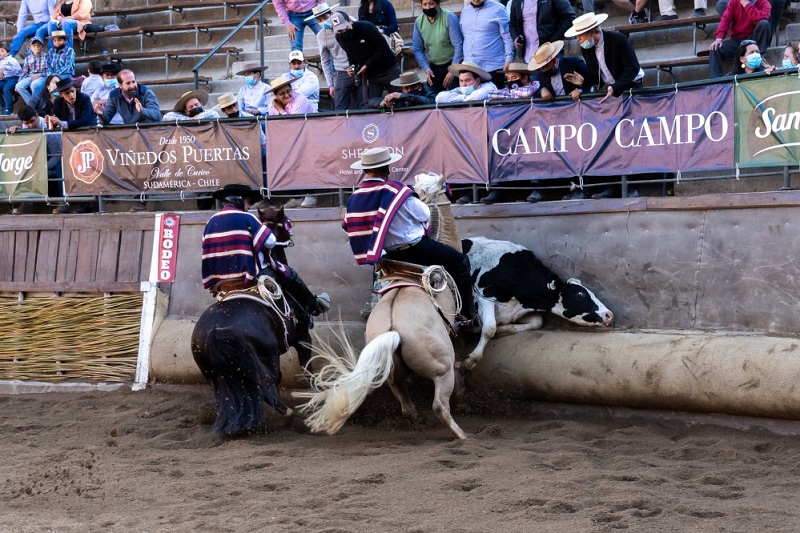 Concejo municipal angelino aprobó $33 millones para clasificatorio nacional de rodeo y Socabio