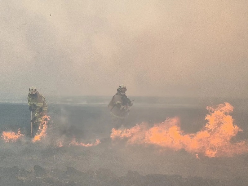 Bomberos de siete comunas lograron contener incendio de Palermo Alto en Mulchén