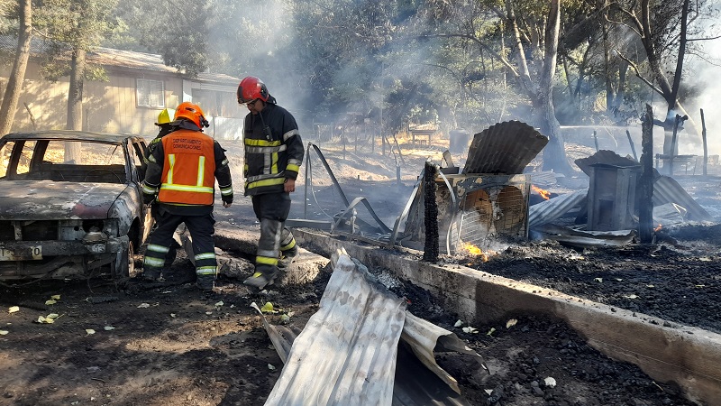 Incendio consumió bodega en sector la Puelche en Los Ángeles: Fuego se propagó a bosque