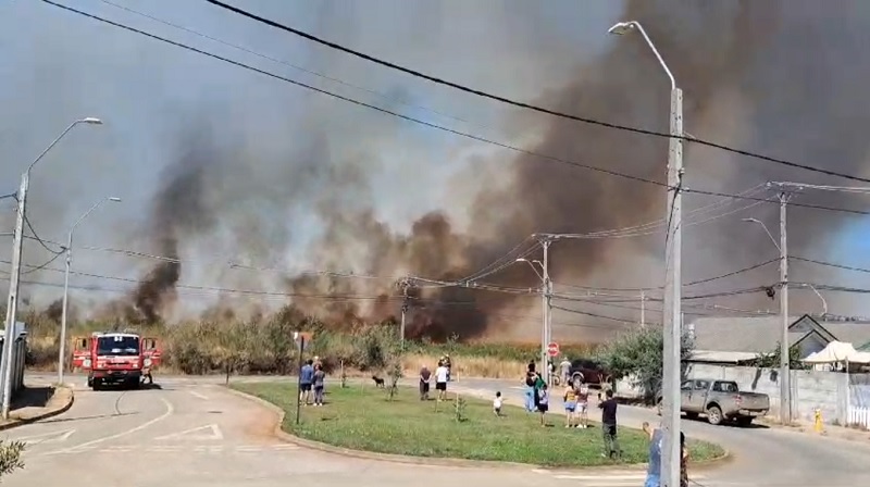 Alerta roja en Mulchén por incendio que amenaza viviendas: Se ordenó evacuación