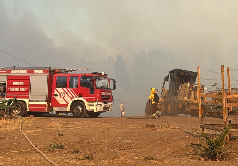 Un centenar de bomberos extinguió incendio forestal en Yumbel: Consumió 34 hectáreas