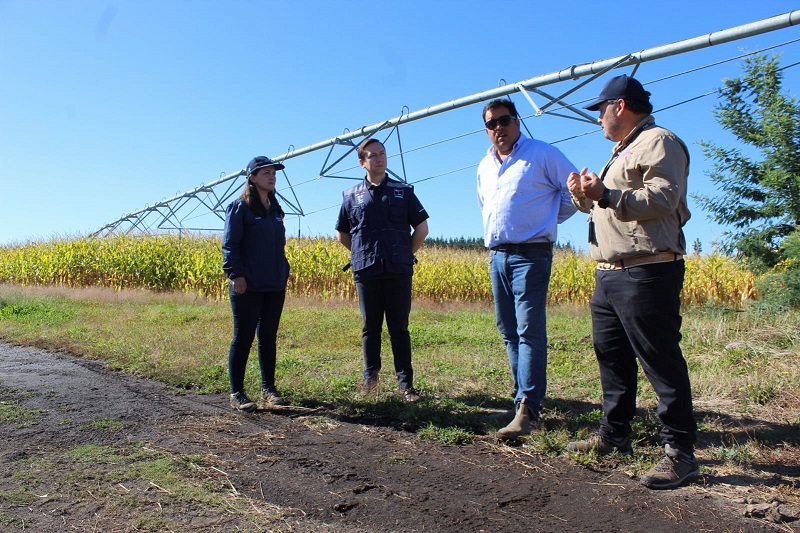 Uso de nuevas tecnologías mejora eficiencia energética del sector alimentario de Biobío