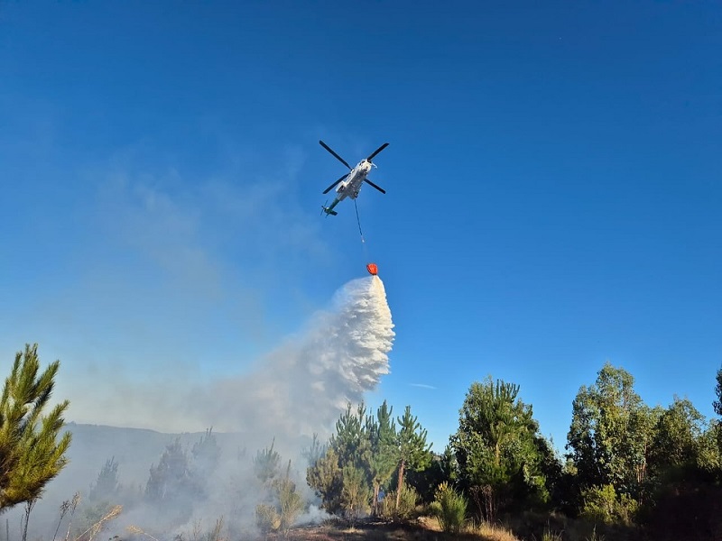 30 hectáreas consumidas y una bodega destruída dejo incendio forestal en Los Ángeles